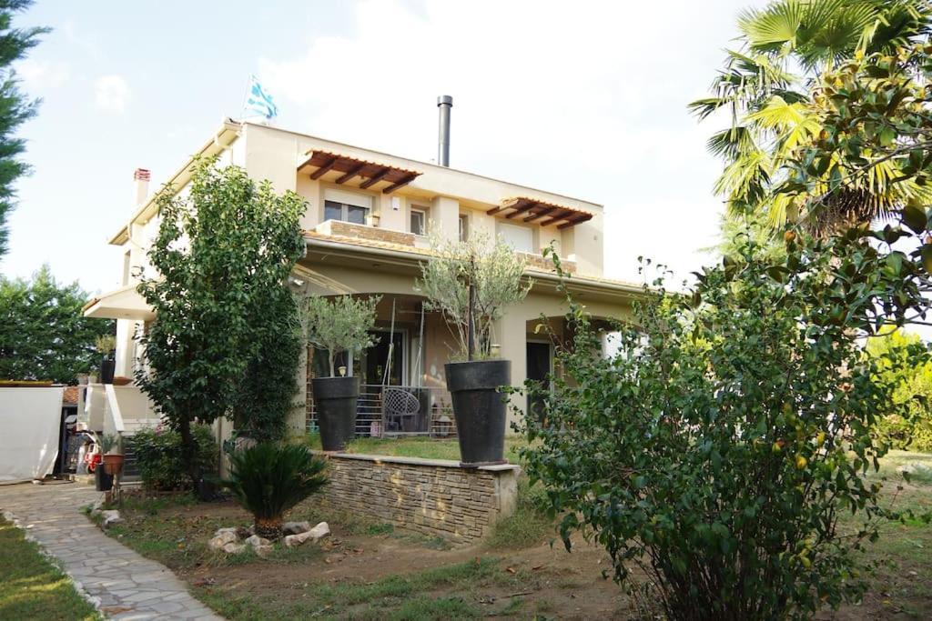 Villa Vasili Tríkala Kültér fotó