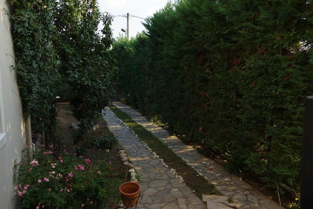 Villa Vasili Tríkala Kültér fotó